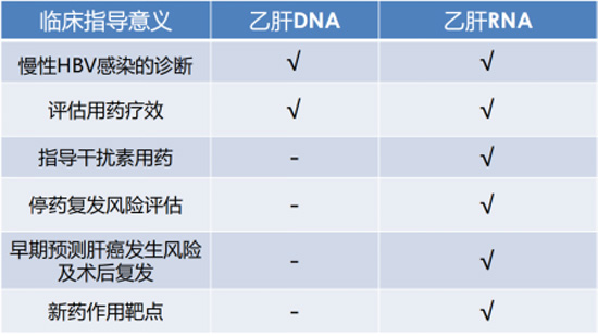 ʡt(y)ˎԺt(y)Ժ:˽HBV-RNA——Ҹξ(zhn)\